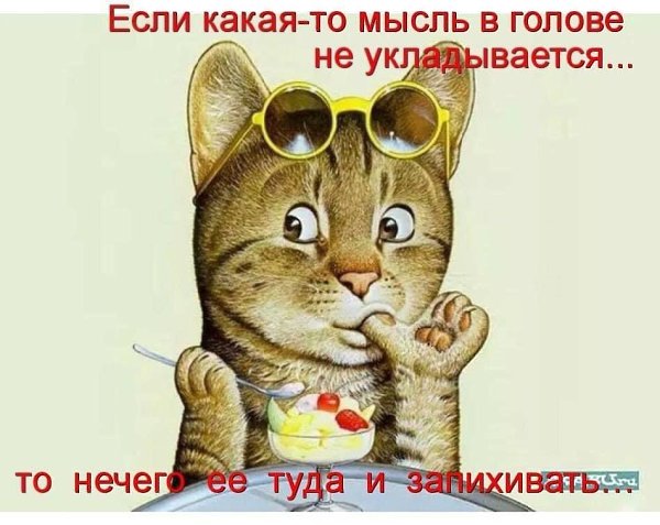 Моя жена пару недель назад в какой-то акции выиграла презервативы светящиеся... Пытались ...