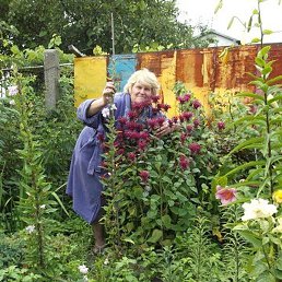 �����, �����, 68 ���