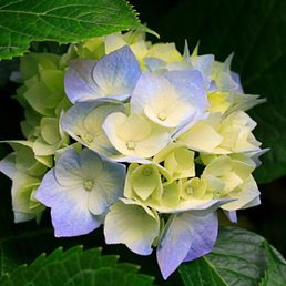 ����, ������, 47 ���