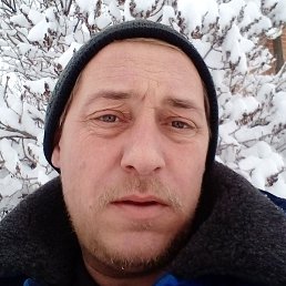 ������, ������-��-����, 44 ����