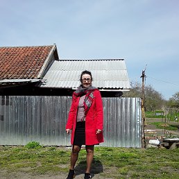 ���� �������, �����, 68 ��� - ��������� 27 ������ 2022