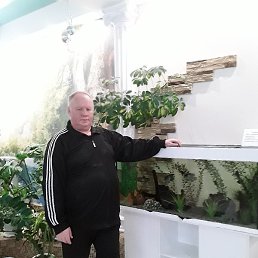 ������, ���������, 59 ���