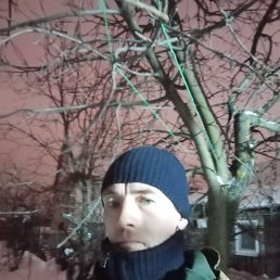 �������, ������, 39 ���