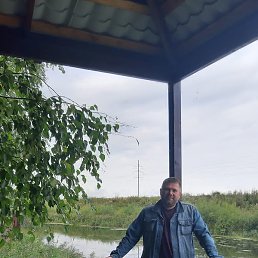 ����, ������, 43 ����