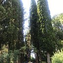  , -, 49  -  16  2022    