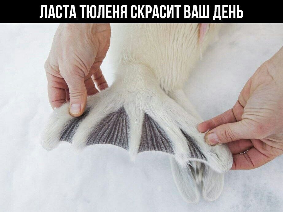    - 8  2023  21:21