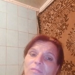 , 44, 