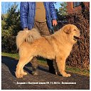 ���� ����, �����-��������� - ��������� 16 ������ 2022 � ������ ������ ��������