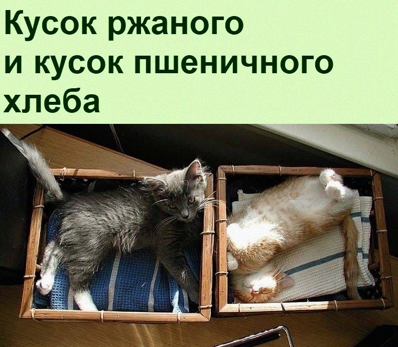   :D - 13  2022  22:22
