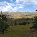 ���� �����, ������, 40 ��� - ��������� 26 ������� 2022 � ������ ������