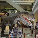 ���� ���������, ������, 44 ���� - ��������� 3 ������� 2022