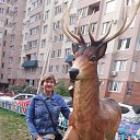 ���� ������, ����, 66 ��� - ��������� 23 ��� 2022 � ������ ������ ��������