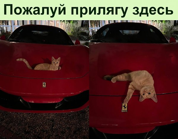 �������� ����������� �� �����, ������� �� ���������� ��� ����� ��� �����