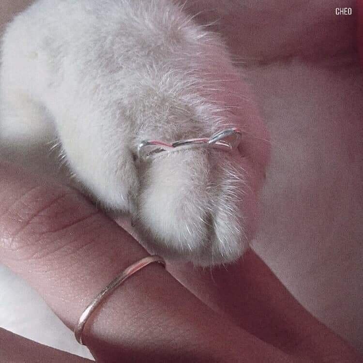   .  !!! - 2