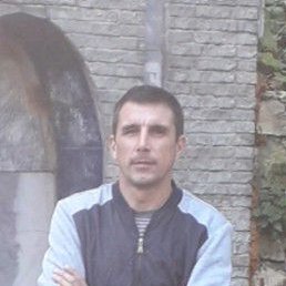 ������, ������, 46 ���