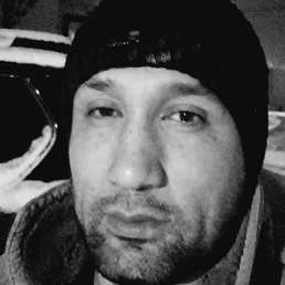 ������, �����, 40 ���