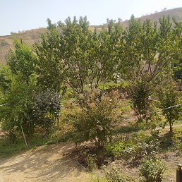 ���� ������, �����-���������, 31 ��� - ��������� 3 ������� 2022