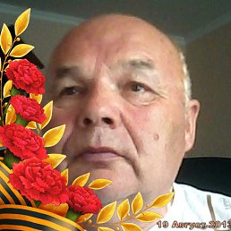 ���, �����, 80 ���