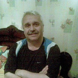 ���� Flex, �����, 62 ���� - ��������� 7 ������ 2022