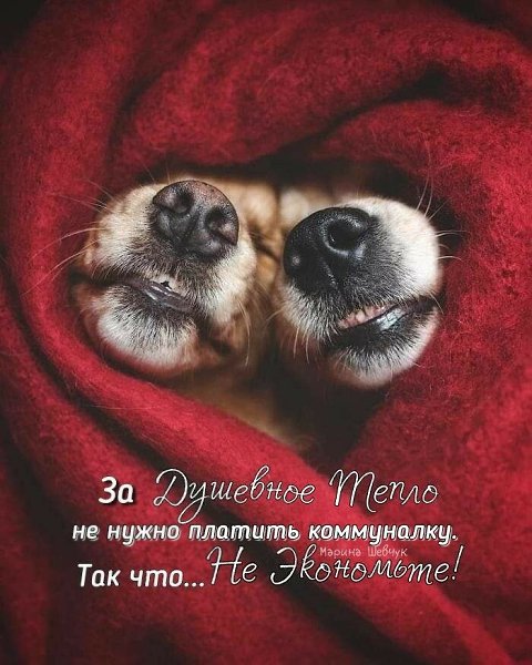 ***Victoria Viktorovna*** - 22  2022  03:24