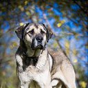 ���� �������, �����-���������, 59 ��� - ��������� 21 ������ 2023