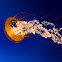 ���� ������, �������, 22 ���� - ��������� 11 ������� 2023 � ������ ���� ����������