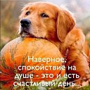 ���� �����, �����������, 58 ��� - ��������� 4 ������ 2022 � ������ ���� ����������