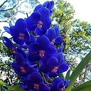 ���� ������, �����-���������, 56 ��� - ��������� 23 ������� 2022 � ������ ���� ����������