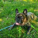 ���� Luc, ���������, 60 ��� - ��������� 16 ������� 2022 � ������ ���� ����������