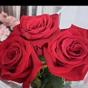 ���� Sev, ������, 43 ���� - ��������� 14 ������� 2022