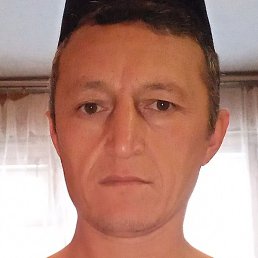 ����, ������, 40 ���