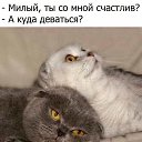 ���� �����������, ������ - ��������� 21 ����� 2022 � ������ ����