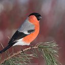 ���� Lusa, ��� - ��������� 30 �������� 2022 � ������ ���� ����������