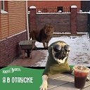 ���� �����, ������, 41 ��� - ��������� 14 ���� 2022 � ������ ���� ����������