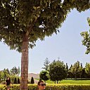 ���� ����, �����������, 37 ��� - ��������� 4 ������� 2022 � ������ ���� ����������