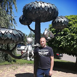 ����, �������, 53 ����