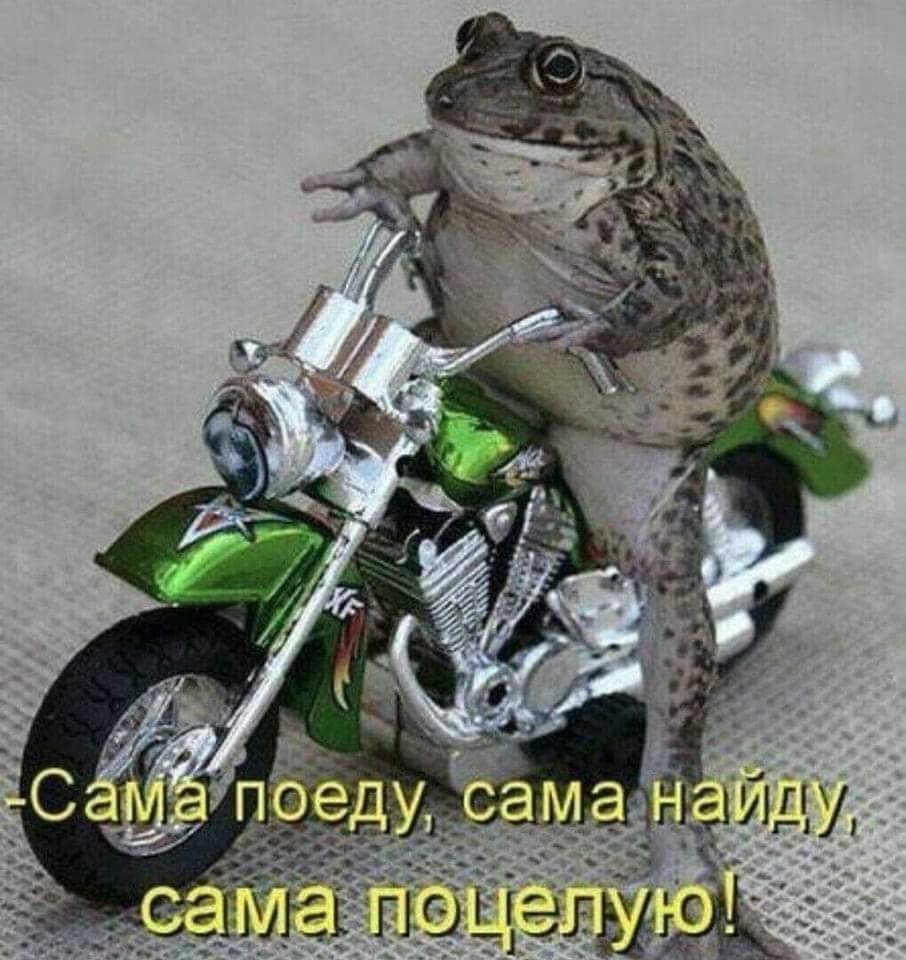 :) ! ,!