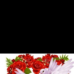 �����, �����-���������, 51 ���