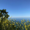 ���� �������, ���������, 63 ���� - ��������� 16 ��� 2022 � ������ ������ ��������