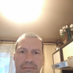 ���� �����, �����-���������, 46 ��� - ��������� 2 ������ 2022