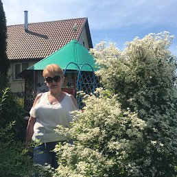 ���� ������, ������, 67 ��� - ��������� 31 ���� 2022