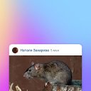 ���� ������, ������ ��������, 48 ��� - ��������� 5 ���� 2022 � ������ ������ ��������