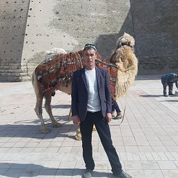 �������, ������, 50 ���