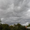 ������ �� ������� ���� ����������