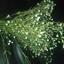 ��������� ���������� ! �� ������� ������ ��������