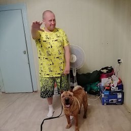 ������, ������-�������, 42 ����