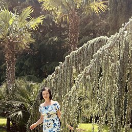 ���� ����, ������������, 53 ���� - ��������� 23 ���� 2022