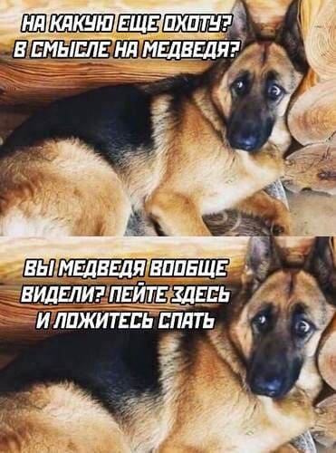   ,       . https://fotostrana.ru/away?to=/sl/CA5 - 5