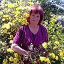 ���� ���������, ������ - ��������� 2 ���� 2022 � ������ ���� ����������