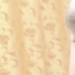 �������, ������, 35 ���